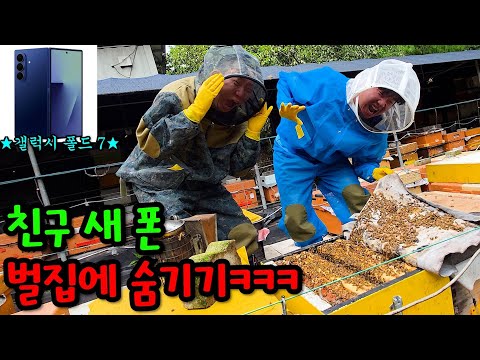 친구 새 폰 벌집에 숨기기ㅋㅋㅋ