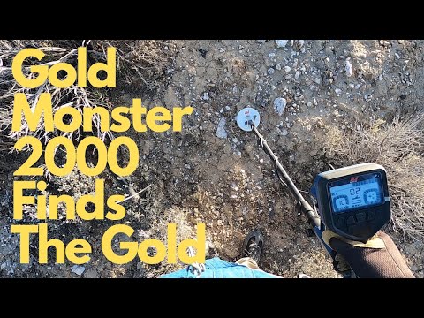Minelab Gold Monster 2000 Finds The Gold
