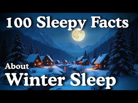Why Does Winter Help You Sleep Better? Dreamy Science