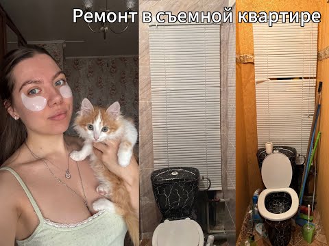 Ремонт в съемной квартире / Переделка туалета
