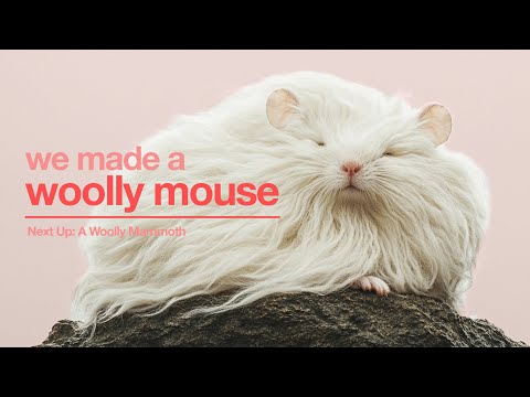 How to Make a Mammoth (and save the world)