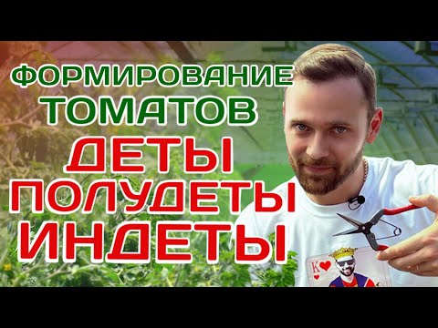 КАК ФОРМИРОВАТЬ ТОМАТЫ В ОДИН, В ДВА И В ТРИ СТЕБЛЯ| ВСЕ В ОДНОМ ВИДЕО