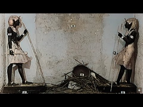 The Curse of King Tut