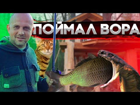 We caught a snake with a goldfish in its mouth. Our dogs have changed beyond recognition. Caring ...