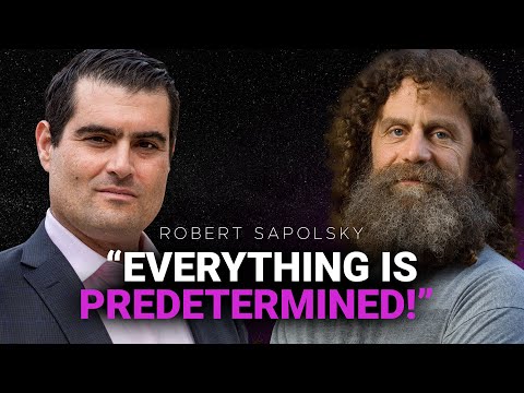 Free Will FIGHT!! Who Has the Stronger Argument, Sapolsky or Me? (395)