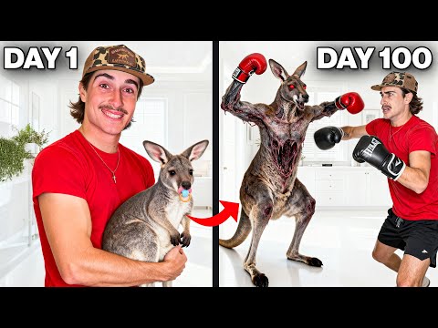 I Raised a Kangaroo to Box Me (100 Day Evolution)