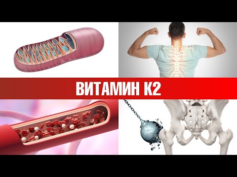 Product #1 Rich in Vitamin K2 🔥 Sources of Vitamin K2.