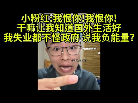 小粉红 为什么让我知道墙外的世界,我失业都不怪政府,你怎么说我负能量