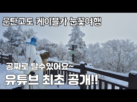 [하이원리조트]정선 백운산 운탄고도 케이블카 눈꽃여행 / 유튜브 최초 공개 해발 1426m 상고대 잔치 / 이벤트 기간 공짜로 탈수 있어요~/