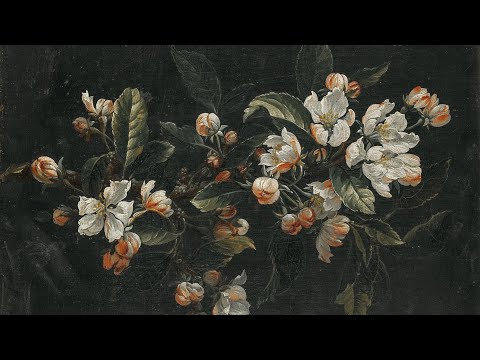 Moody Floral | Turn Your TV Into Art | Vintage Art Slideshow For Your TV | 1Hr of 4K HD Paintings