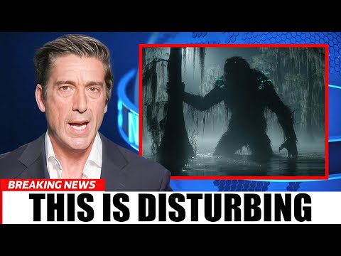 BREAKING: Florida’s New Predator Is Not A Python (It Hunts Humans)