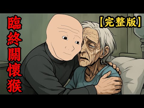 臨終關懷猴的一生，被家人嫌晦氣【完整版】| wojak | 動畫 | 情感 | 工作