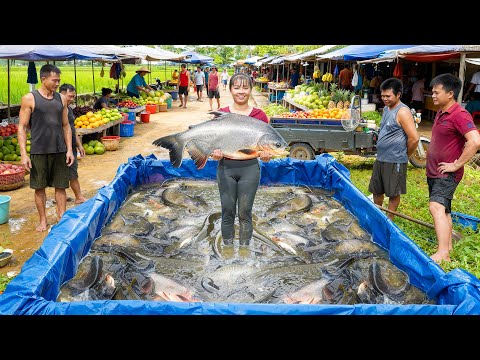 Harvesting Lots Of Big Fish, Use 3-Wheeled Truck Transport Many Fish Go To Market Sell