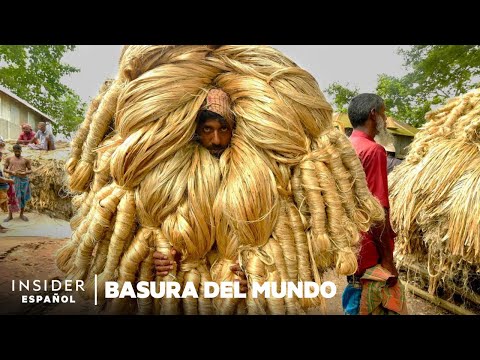 ¿Logrará la “fibra dorada” reemplazar al plástico? | Basura del mundo | Business Insider