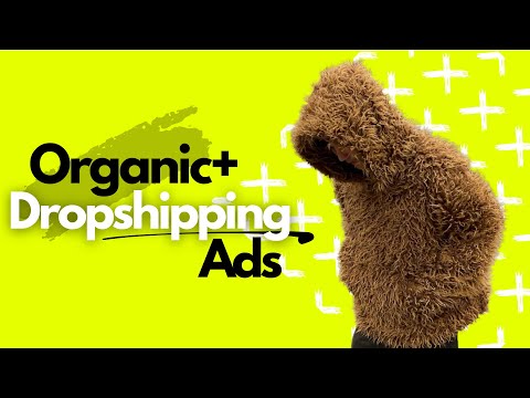 The Art of Making Organic Dropshipping Ads