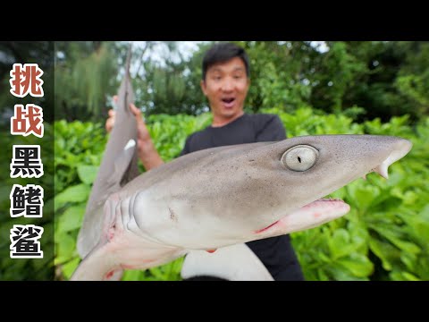 《所罗门群岛》第2集：这次挑战太野了，不仅被鳄鱼赶下岛，还与鲨鱼群斗智斗勇长达数小时！#鲨鱼 #鳄鱼 #荒岛探索 #抓龙虾 #赶海 #潜水 #underwater #ocean