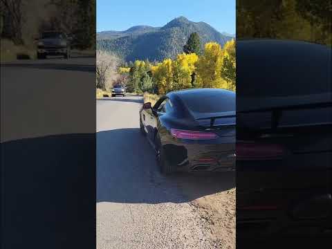 AMG GTS Start up & Revs