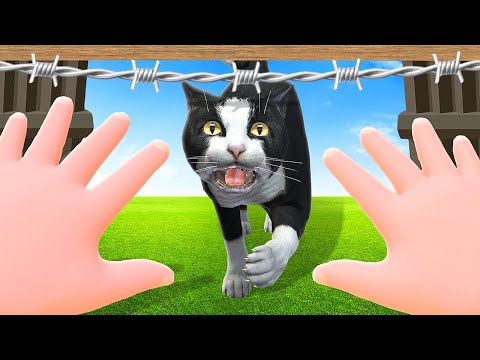 Building a BASE Against the Cat - Baby Hands VR