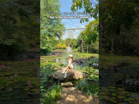 HOW TO GET TO THIS ICONIC HIDDEN SPOT GARDENS BY THE BAY SINGAPORE #gardensbythebay #singapore