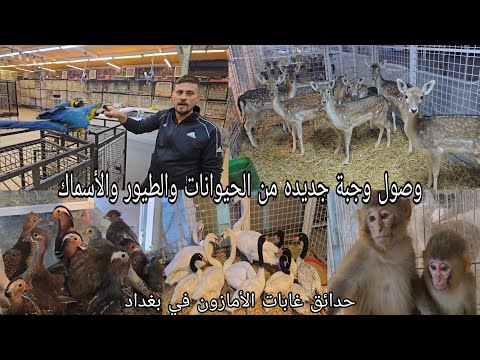 وصول وجبة جديده من الحيوانات والطيور والأسماك #حدائق_غابات_الأمازون في بغداد_الغدير 2025/12/23