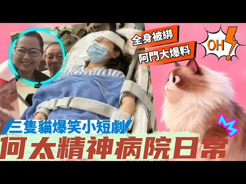 何太精神病院日常曝光 竟逃走被拖回醫院五花大綁 | 貓仔河馬語扮醫生笑爆肚 白貓由頭到尾被哥哥頂嘴🐱#何伯 #何太 #東張西望 #短劇推薦 