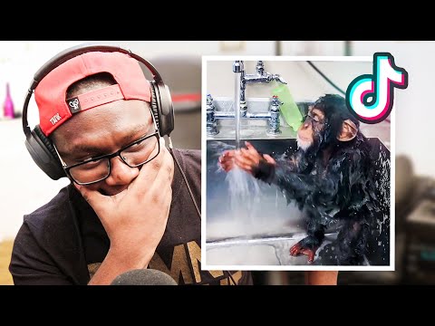 tik toks before it gets banned