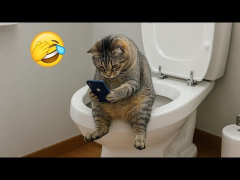 Try Not To Laugh Cute Pets 2025 | 😼🐶Try Not To Laugh😜