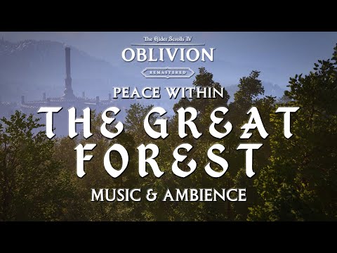 Peace Within The Great Forest | Elder Scrolls IV:  Oblivion Music and Ambience