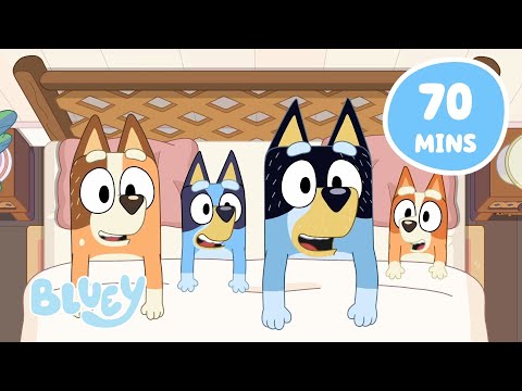 π΄LIVE: Relax with the Heelers π | Family Chill Time with Bluey and Bingo | Bluey