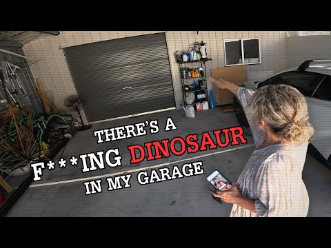 Australian Lady Found A HUGE REPTILE Trapped In Her Garage!