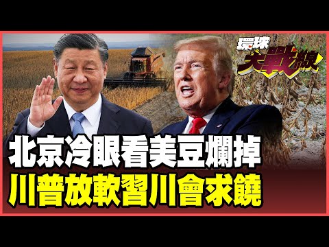 美豆滯銷堆積如山 美農哭求北京：別讓我們破產 中國「精密組合拳」出狠招 要打奉陪到底！川普貿易戰將美國玩殘！【#環球大戰線】20251015-P1 葉思敏 苑舉正 烏凌翔 侯漢廷 彭華幹