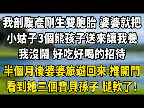 我剖腹產剛生下雙胞胎 ，婆婆就把小姑子3個熊孩子送來讓我養，我沒鬧 好吃好喝的招待，半個月後婆婆旅遊回來 推開門看到她三個寶貝孫子 腿軟了！#養老生活 #情感 #中老年故事