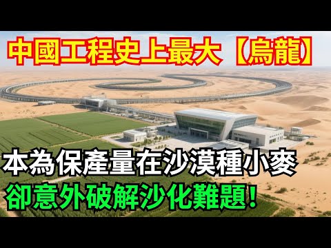 中國工程史上最大【烏龍】！ 本為保產量在沙漠種小麥，卻意外破解沙化難題！【全球坐標系】#中國#基建工程#制造#沙漠#改造工程