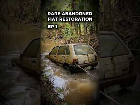 I made the BIGGEST MISTAKE of my life by buying this ABANDONED and DESTROYED CAR.