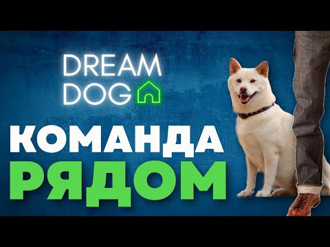 Как научить собаку команде Рядом 🐶 Пошагово без ошибок