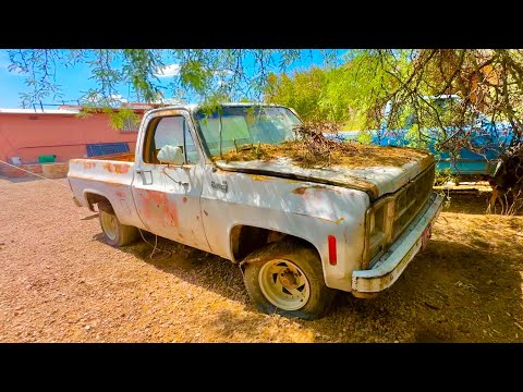 1979 GMC 25 years abandoned under a tree! Will it run and drive? 