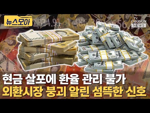 환율 폭등하자 원화 박살 났다... 외환시장 붕괴 초읽기 [티조Clip]