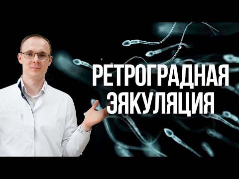 Ретроградная эякуляция. Проблемы с зачатием. Врач уролог-андролог. Москва.