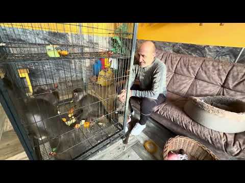 Daddy's happiness, everything is close by, and Lyuska just sat on her knee)))