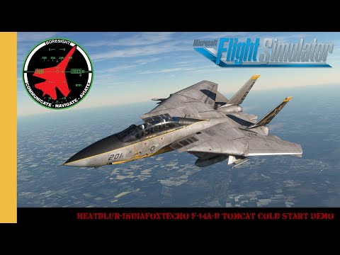 Heatblur/IndiaFoxtEcho F-14A/B Tomcat Cold Start Demo