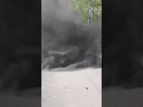 Descubra o Que Você Vê nas Nuvens e Árvores! 🌳☁️ #shorts