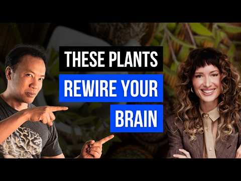 Herbalist's Guide to Brain Health