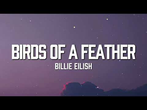 Billie Eilish - BIRDS OF A FEATHER (Lyrics)