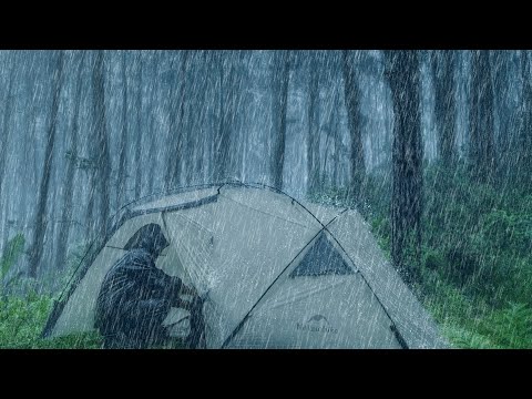 💯ASMR TENT CAMPING IN EXTREME RAIN & THUNDERSTORM (Cozy Sleep Sounds)‼️CAMPING IN HEAVY RAIN⛈️