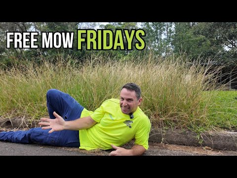 I was licking my lips when I saw this driveway that I could transform. Free Mow Fridays!