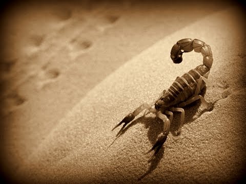 Ozymandias - poem by Percy Bysshe Shelley - explanation and reading