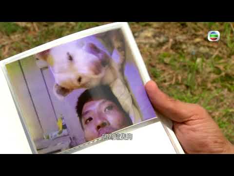 星期日檔案 - 非行少年