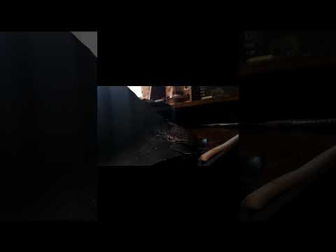 Petrified Mouse Pad For PC