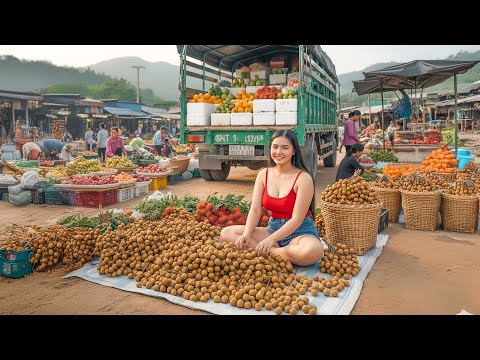 Harvesting 1000+ Longans from Villagers, Use Truck Transport Longans Go to Market Sell