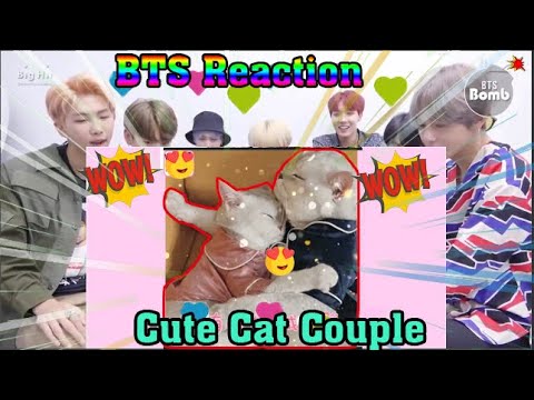 BTS Reaction Cute Cat Couple ๐๐๐๐